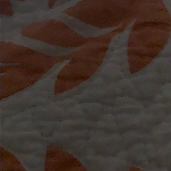 Meet your Posher, Ann - Picture 1 of 1